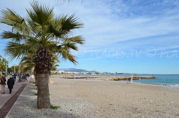 Grand Studio Tres Agreable Avec Bar, Cuisine Et Terrasse Cagnes-sur-Mer Zewnętrze zdjęcie